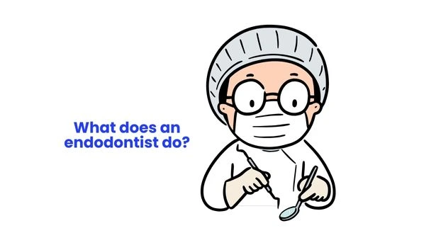 what does an endodontist do